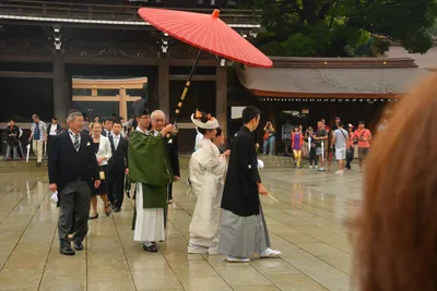 DSC_3313 (Large).JPG